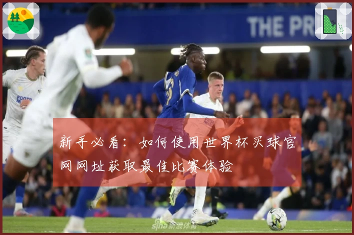 新手必看：如何使用世界杯买球官网网址获取最佳比赛体验
