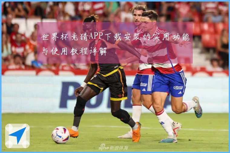 世界杯竞猜APP下载安装的实用功能与使用教程详解
