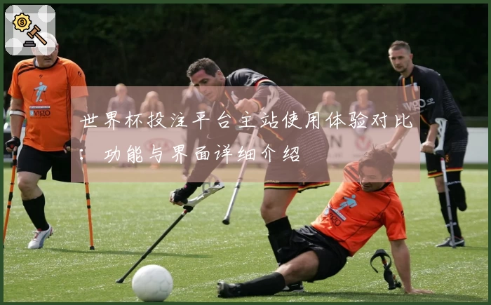 世界杯投注平台主站使用体验对比：功能与界面详细介绍