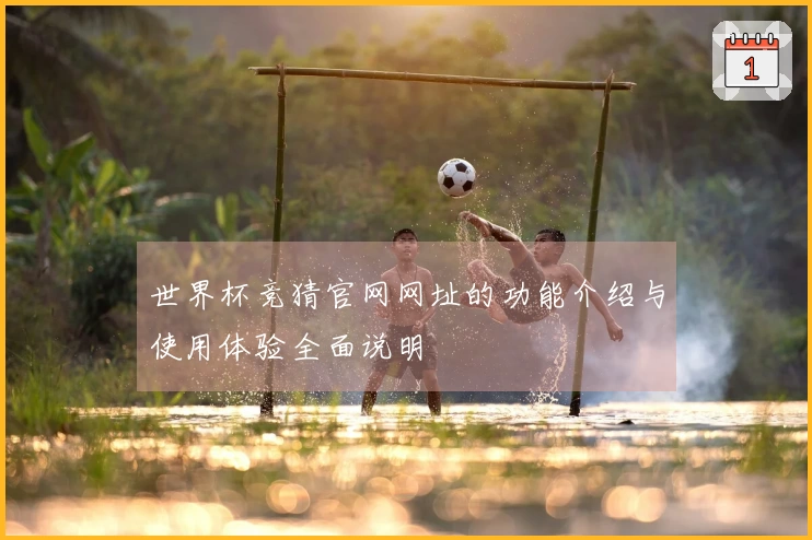 世界杯竞猜官网网址的功能介绍与使用体验全面说明
