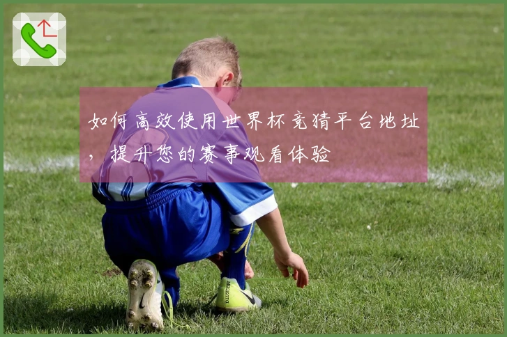 如何高效使用世界杯竞猜平台地址，提升您的赛事观看体验