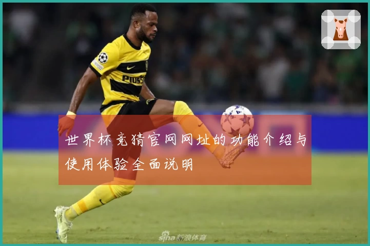 世界杯竞猜官网网址的功能介绍与使用体验全面说明