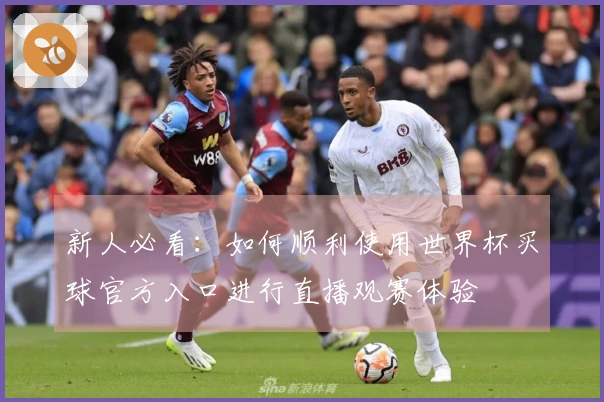 新人必看：如何顺利使用世界杯买球官方入口进行直播观赛体验