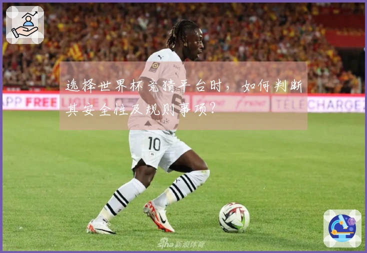 选择世界杯竞猜平台时,如何判断其安全性及规则事项?
