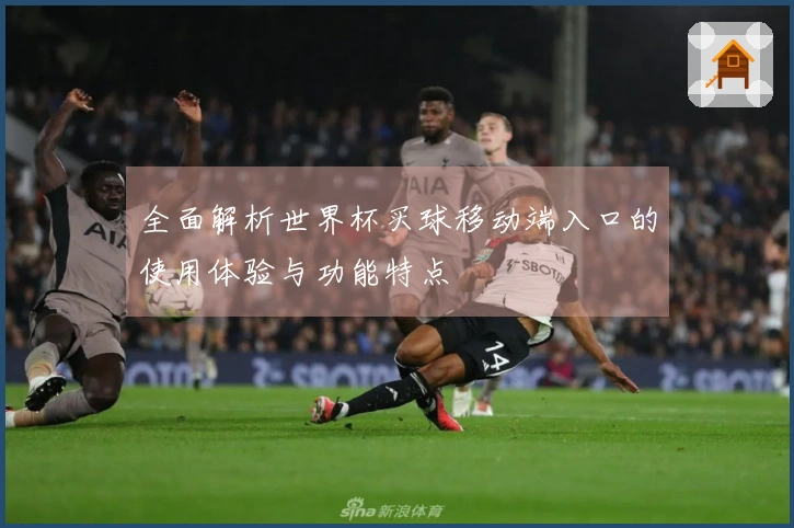全面解析世界杯买球移动端入口的使用体验与功能特点