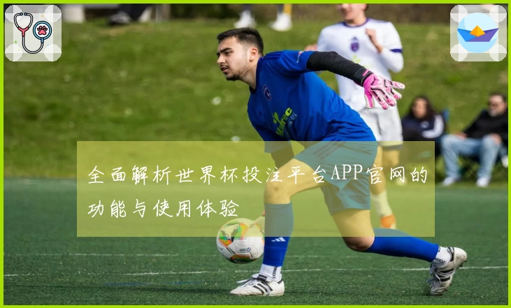 全面解析世界杯投注平台APP官网的功能与使用体验
