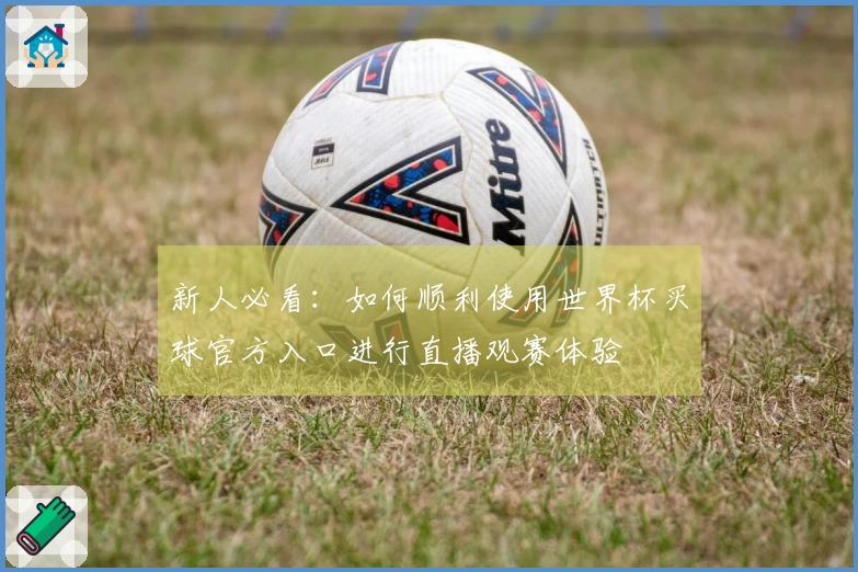 新人必看:如何顺利使用世界杯买球官方入口进行直播观赛体验