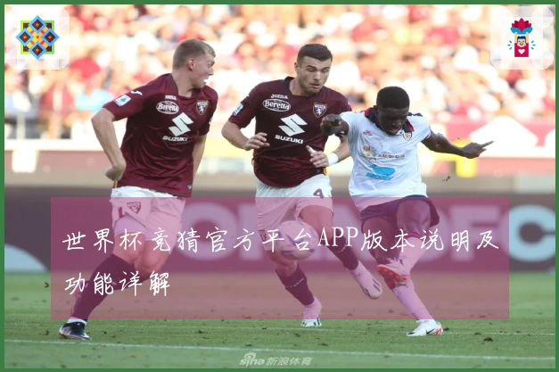 世界杯竞猜官方平台APP版本说明及功能详解