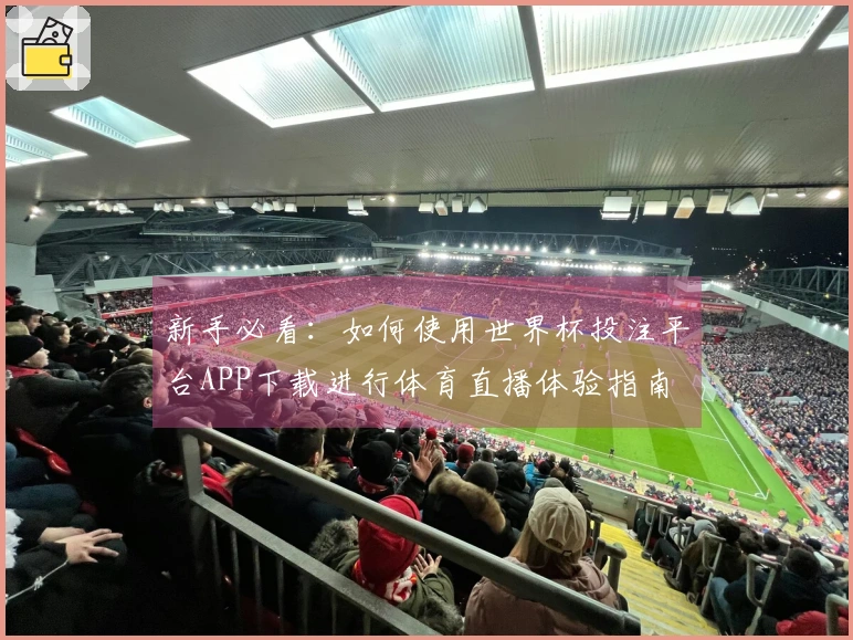 新手必看：如何使用世界杯投注平台APP下载进行体育直播体验指南