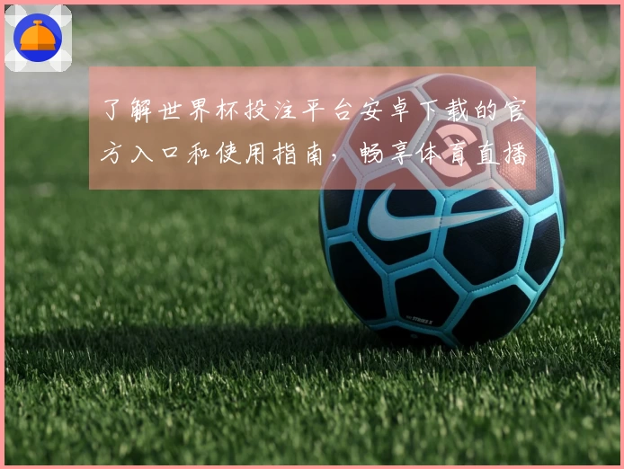 了解世界杯投注平台安卓下载的官方入口和使用指南,畅享体育直播新体验