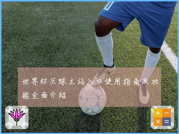 世界杯买球主站入口使用指南及功能全面介绍