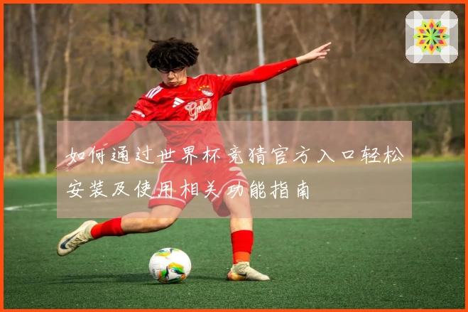 如何通过世界杯竞猜官方入口轻松安装及使用相关功能指南