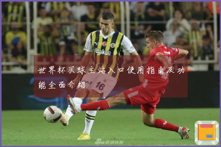 世界杯买球主站入口使用指南及功能全面介绍