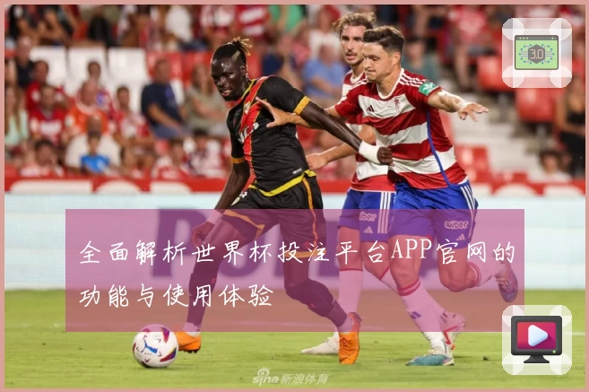 全面解析世界杯投注平台APP官网的功能与使用体验