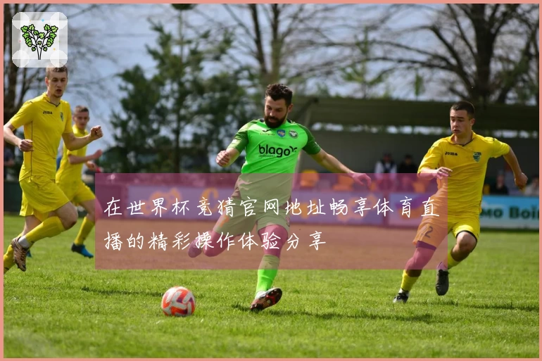 在世界杯竞猜官网地址畅享体育直播的精彩操作体验分享